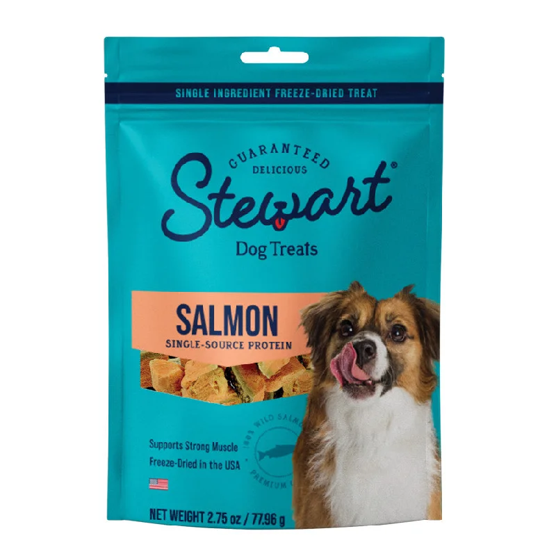 Stewart Single Ingredient Salmon Freeze-Dried Dog Treats